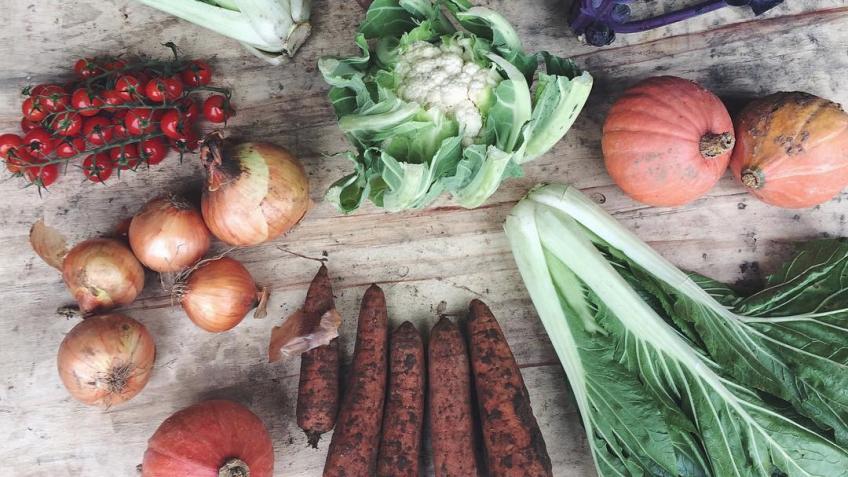 Locavore Goes Electric