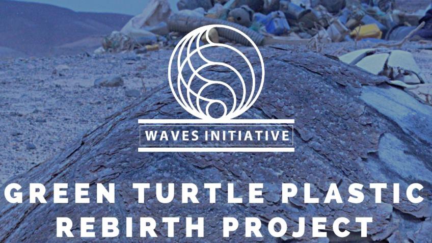 Green Turtle Plastic Rebirth Project