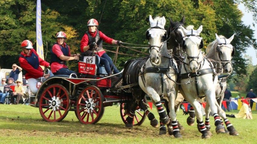 Get Team Witch (Pippa Bassett) to European Champs