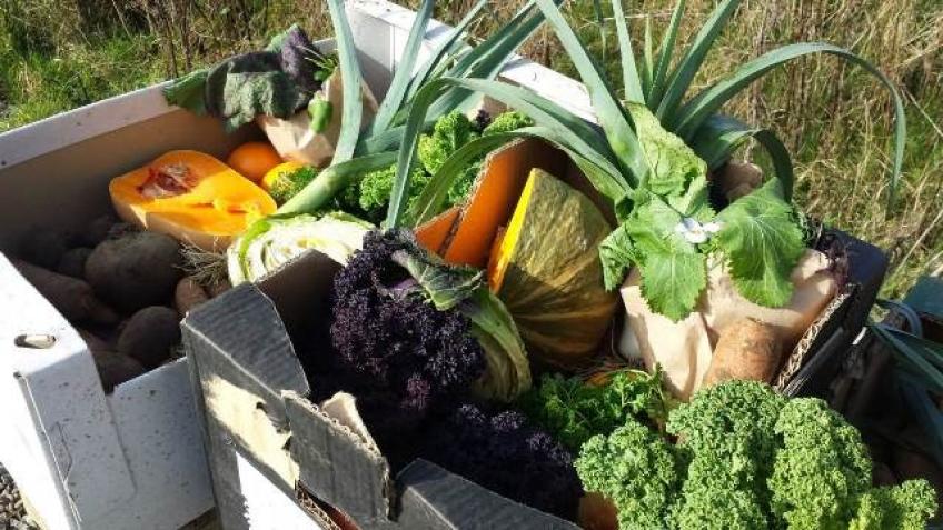 Simply Organic Supplies Aberfeldy