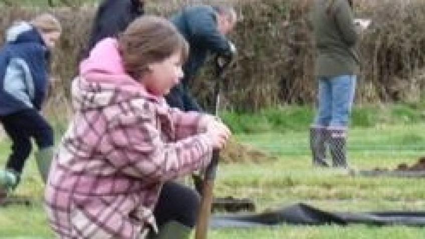 Middlezoy allotments tool replacement after theft