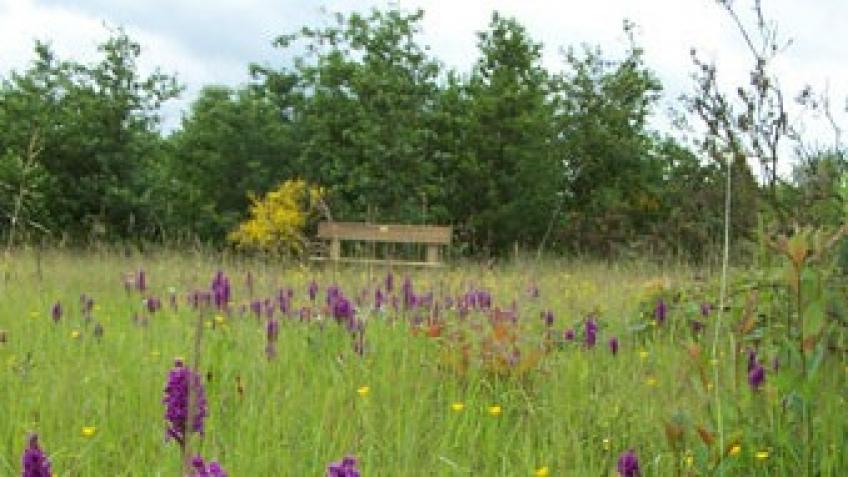 Let's make New Mills greener
