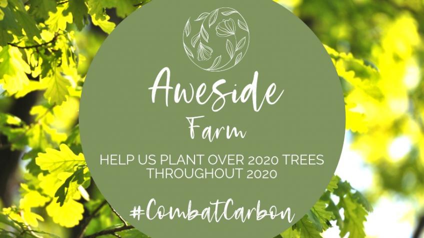 Combat carbon and plant trees with Aweside Farm