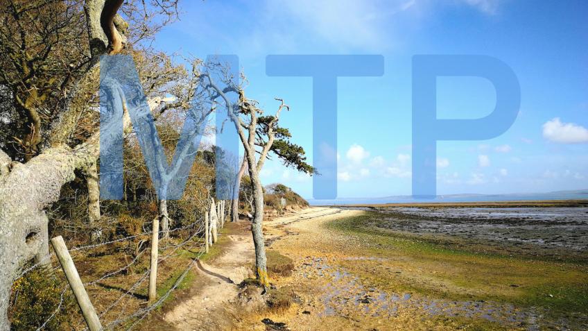 More Than Ponies - Contemporary Art and New Forest
