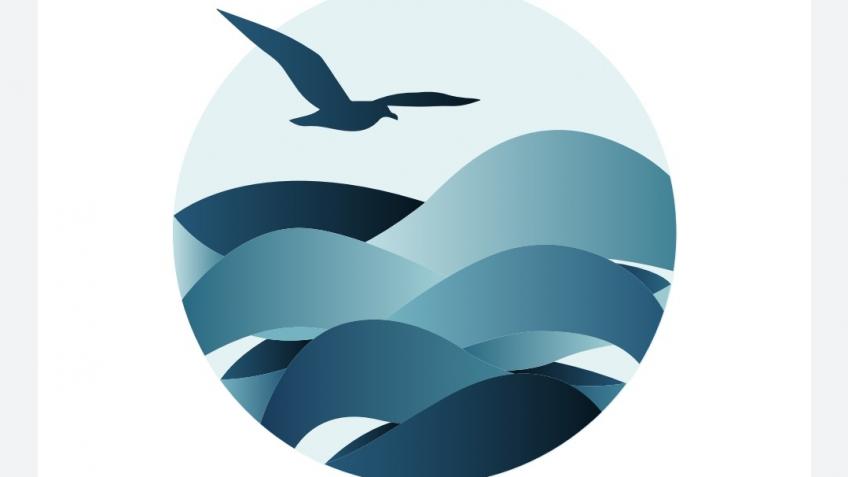 Seas bin trial in Falmouth harbour
