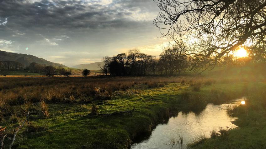 Matterdale Wildlife Fund