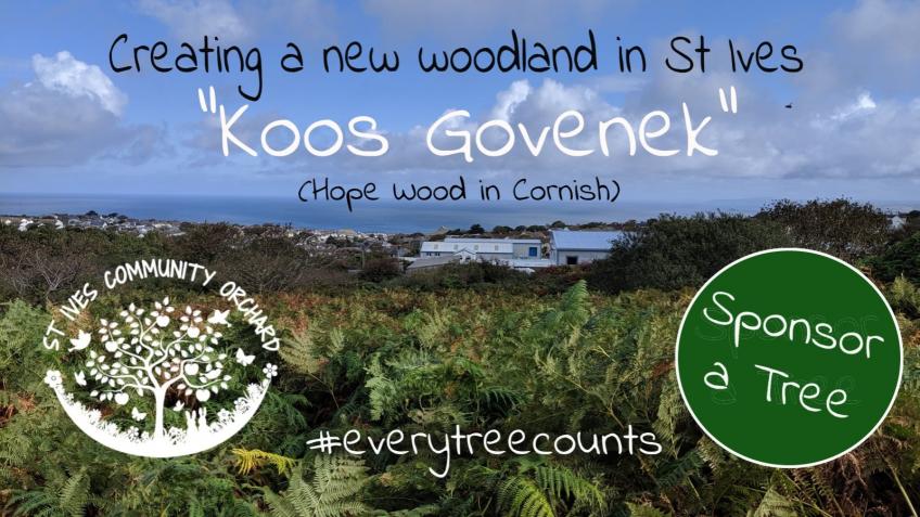 Sponsor a Tree - Create a new woodland in St Ives
