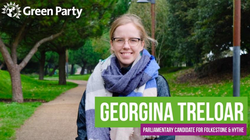 Shepway Green Party General Election Fund