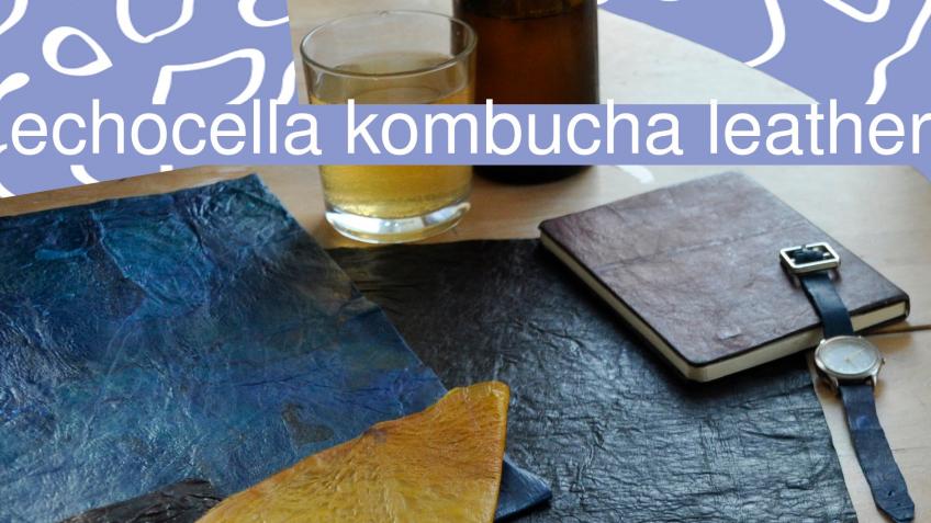 echocella kombucha leather