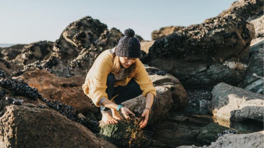 Granite&Green™ Seaweed Plant Pots made in Cornwall