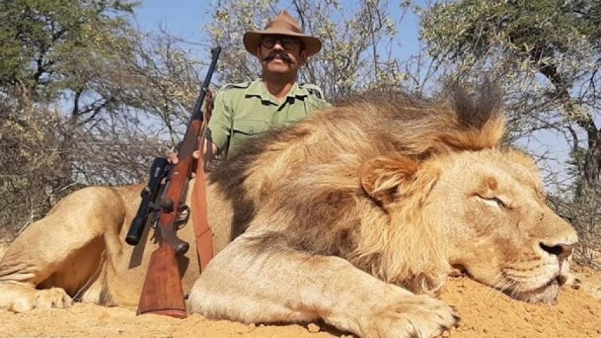 Help BAN Trophy Hunting NOW!