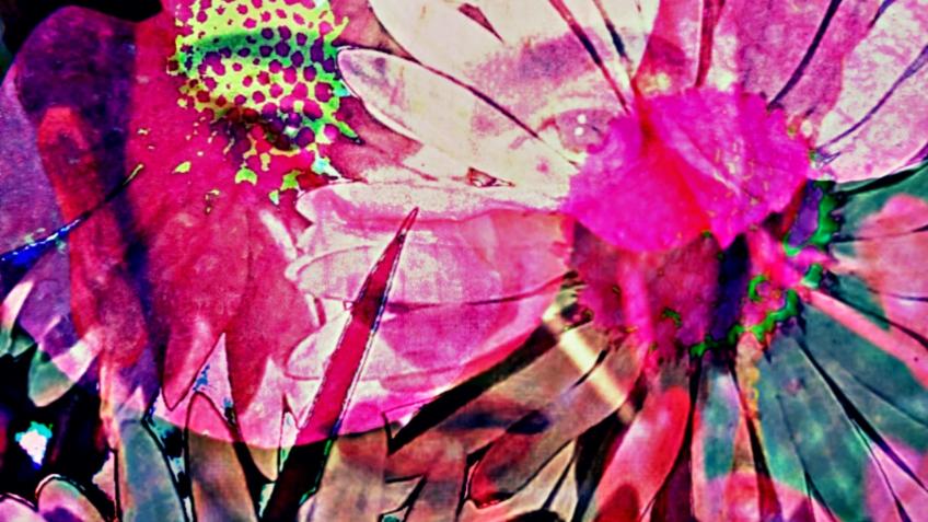 BeautifulWild, Textiles, Home Décor and Workshops