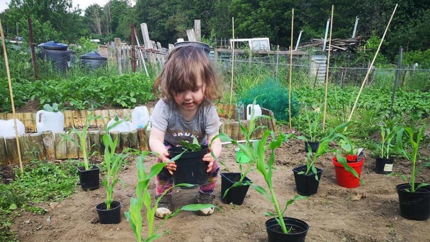 Permaculture Homestead Dream