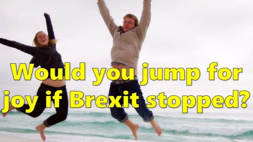 The Stop Brexit Film - a viral video for remain