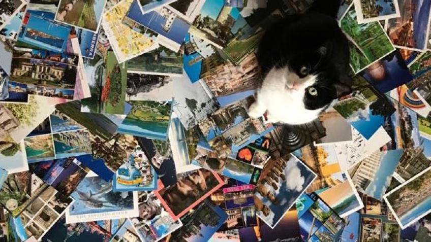 Keep Geography Cat's Projects Going