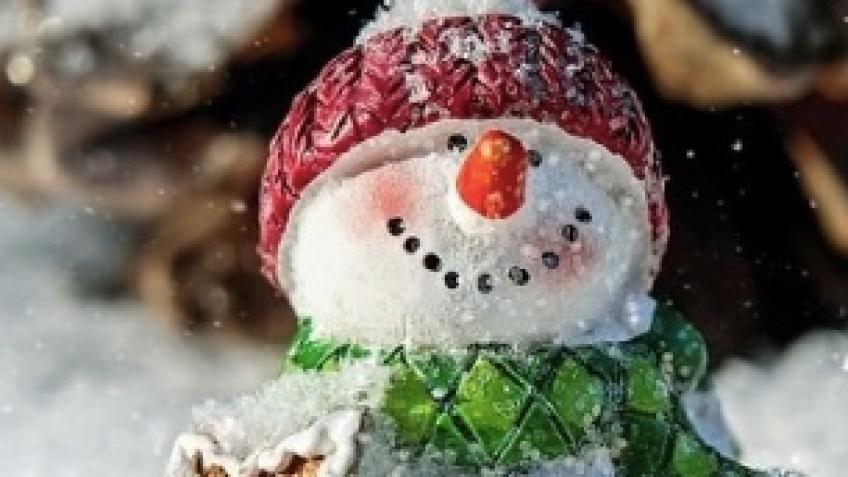 Christmas Day Dinner and Winter Holiday Meals