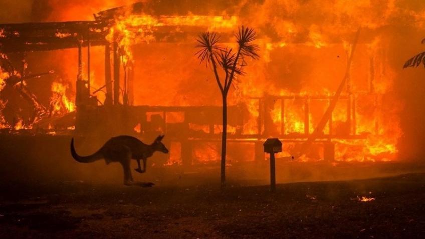 Australia bushfires: Crowdfunder Crisis Fund
