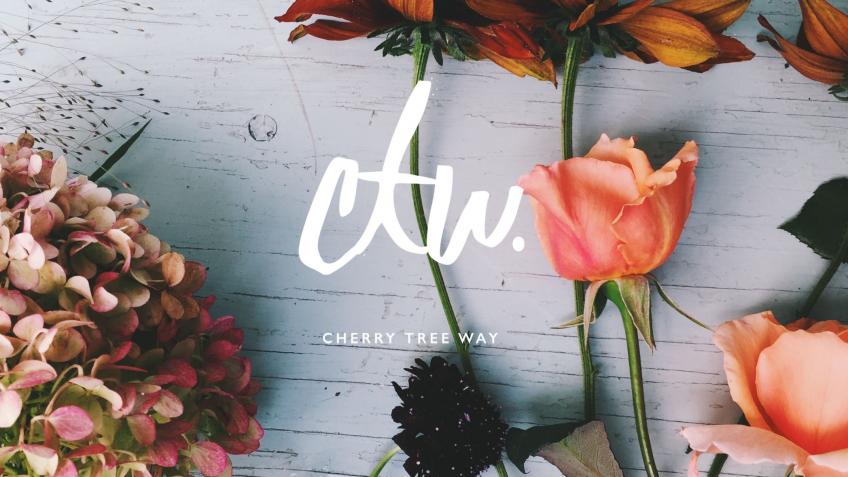 Wellbeing Workshops by Cherry Tree Way