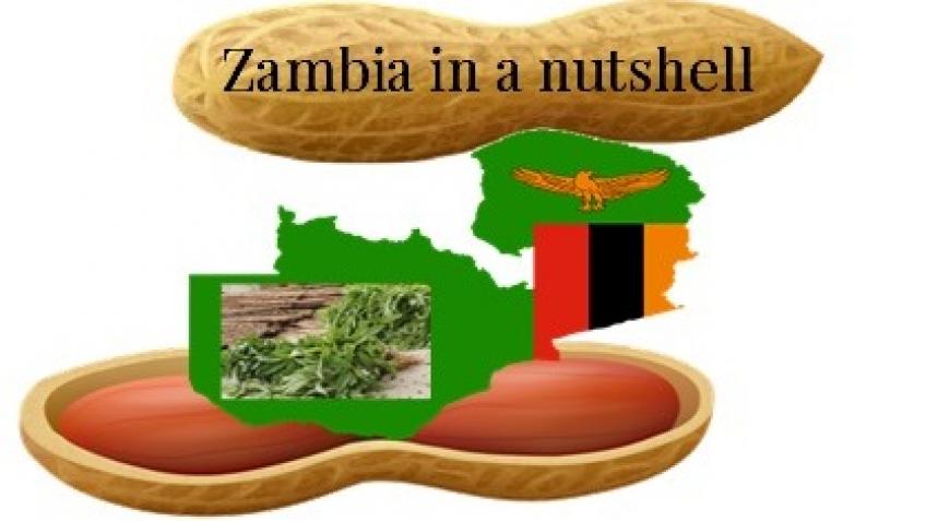 Zambia In A Nutshell