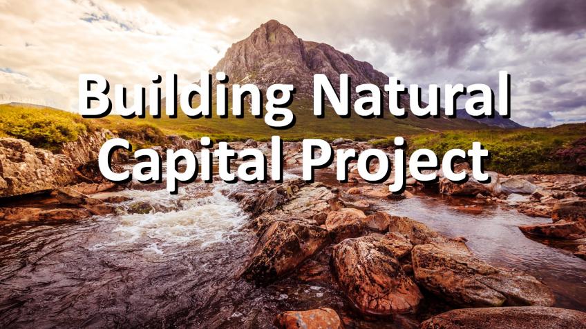 Building Natural Capital