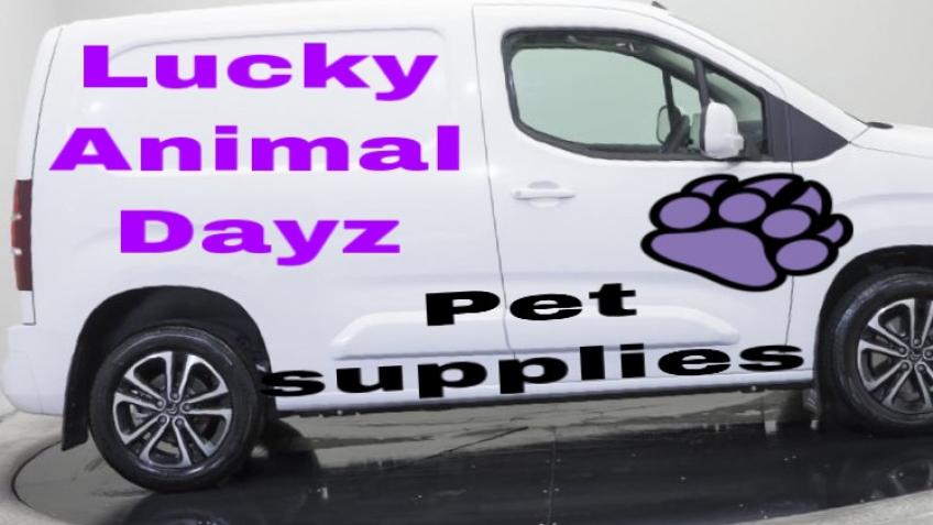 Lucky Animal Dayz