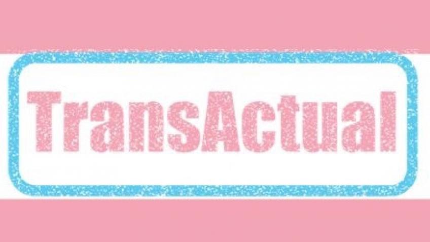TransActual UK Website Fund