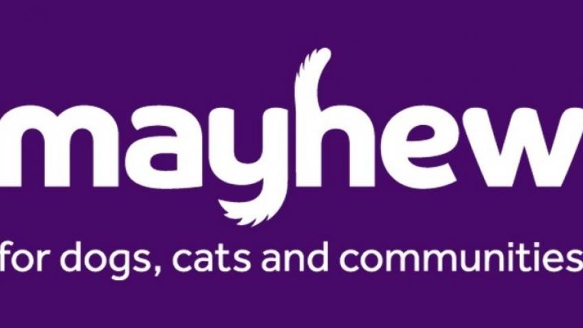 KennedyPearce for Mayhew