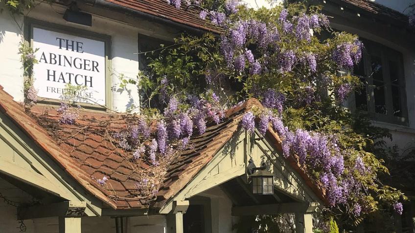 Help The Abinger Hatch survive the COVID-19 crisis