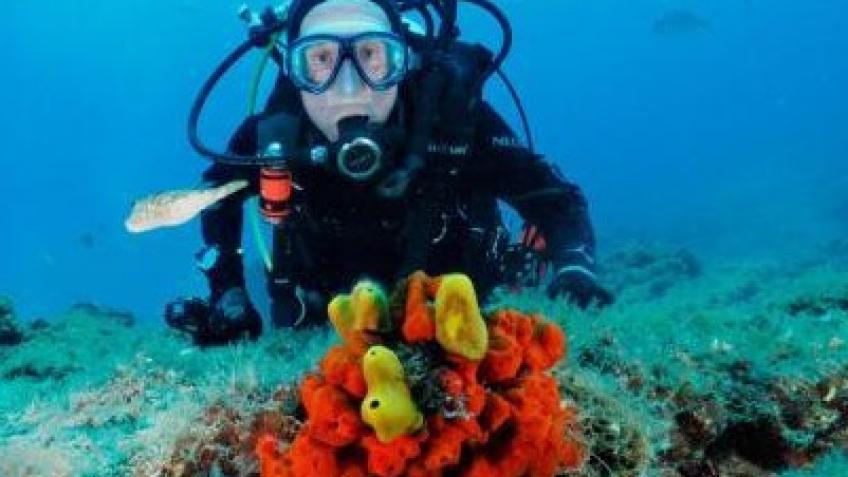 Stop Scuba Scene drowning