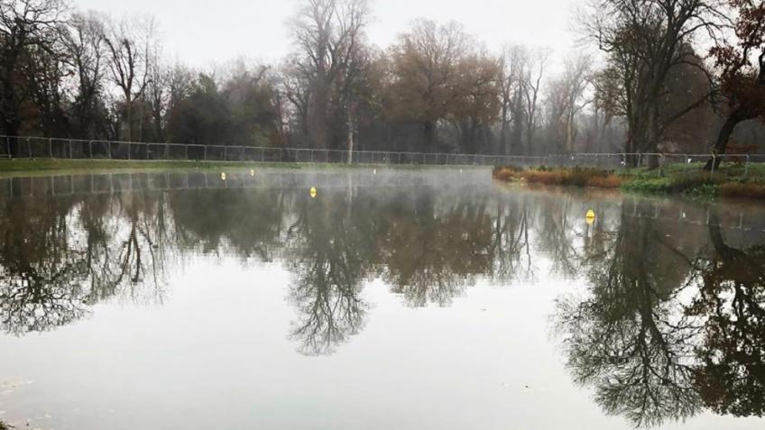Supporting PTP and Beckenham Place Park Lake