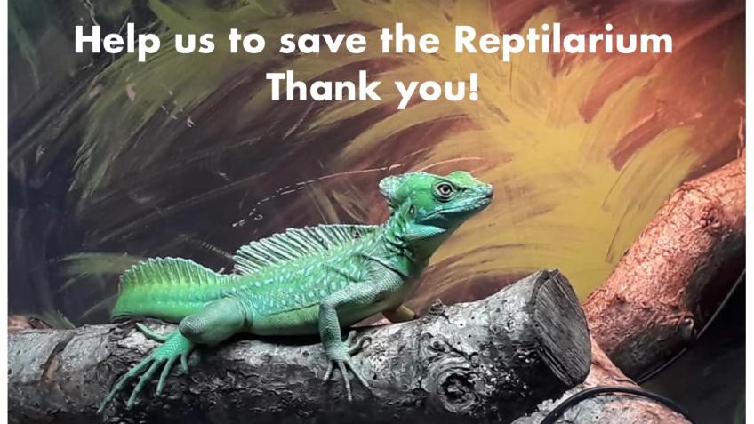 Save the Isle of Wight Reptilarium