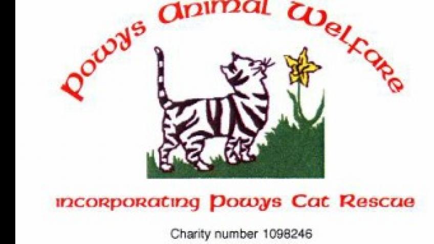 Please, help us  feed the 100  animals at our sanc