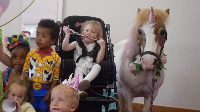 Help a therapy pony in the Corona crisis