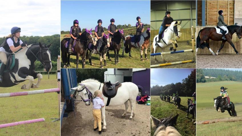 Inadown fundraising for care of ponies