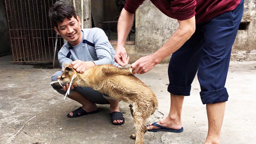 Trekking China - Animal Hope & Wellness Foundation