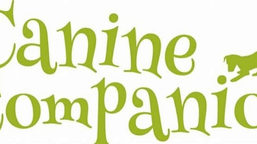 Support Canine Companions through covid 19