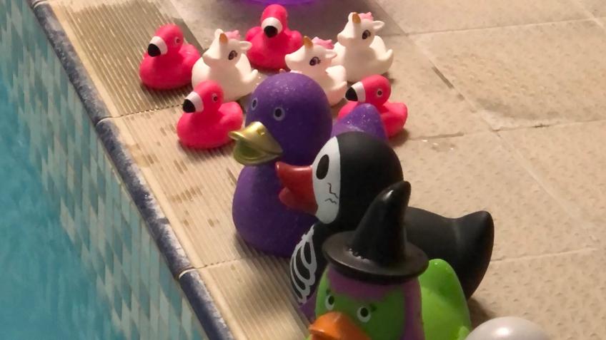 Save Sarah’s Swimming and Aquacise classes