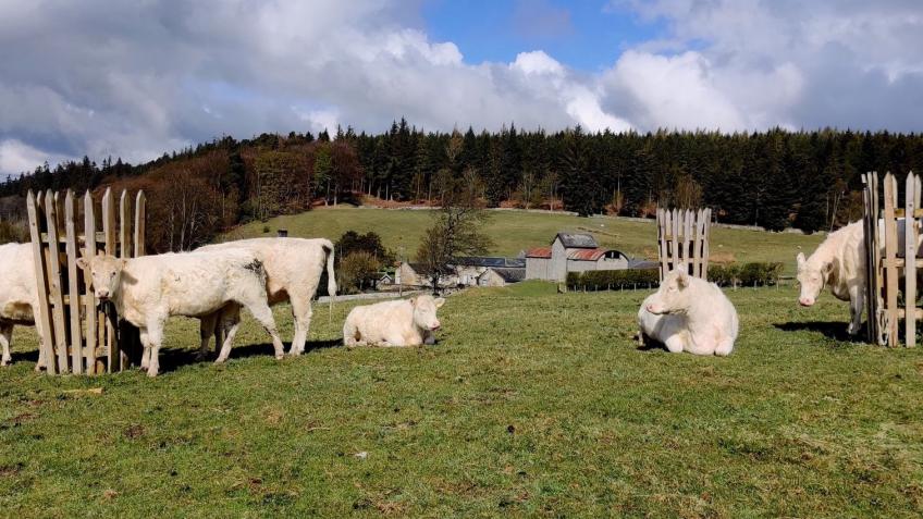 Cragend British Rare Breed Farm needs you!