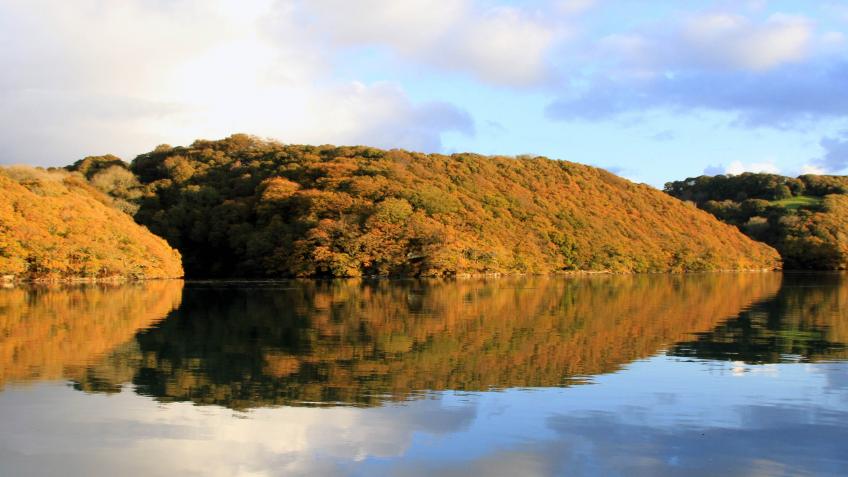Fal River Cornwall Support Fund