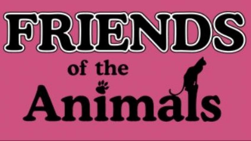 Help Turn the Light ON for These Rescued Animals!