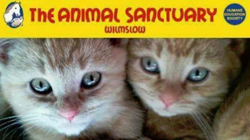 Please Help Us To Help Them