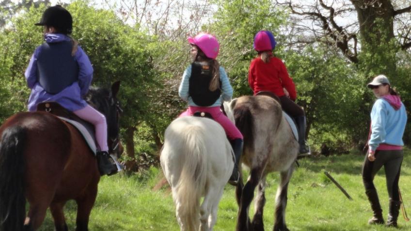 Please help us keep The Pony Academy afloat!