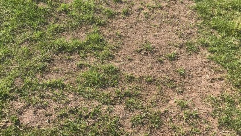 Save Swintons last Junior & Senior sports Ground