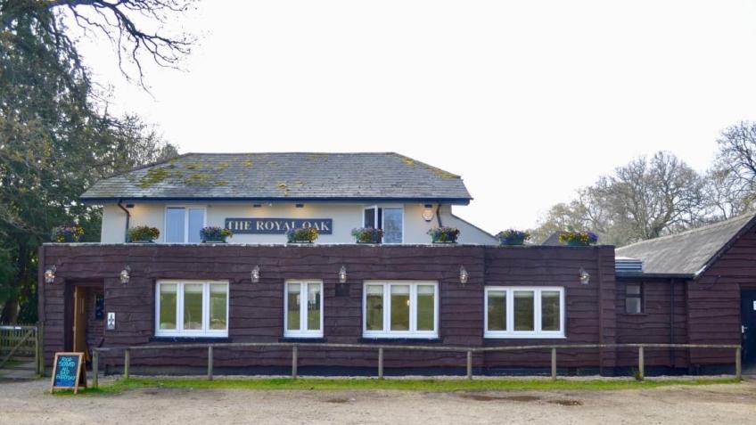 Join us at the Covid Arms!