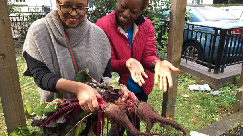 Essential food growing for our local communities