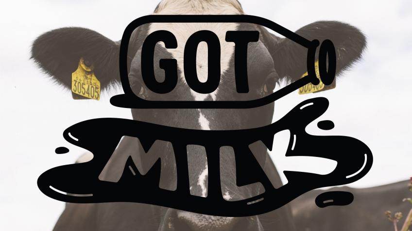 Got Milk.