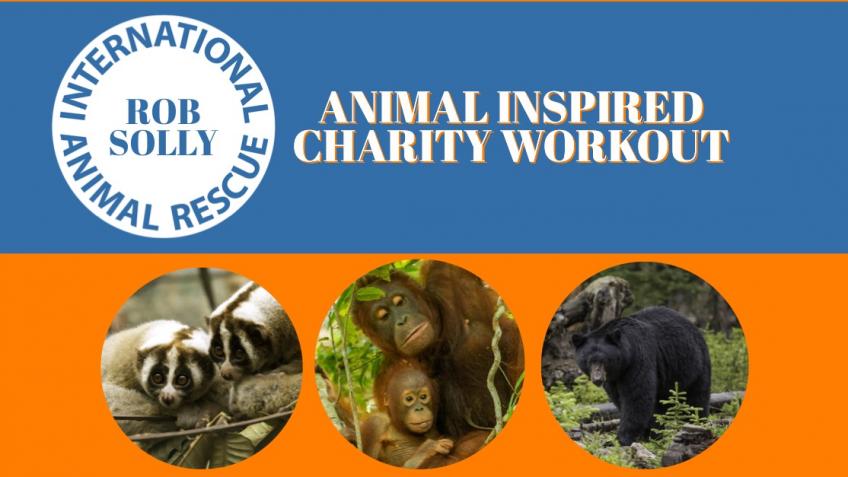 Animal Inspired Workout