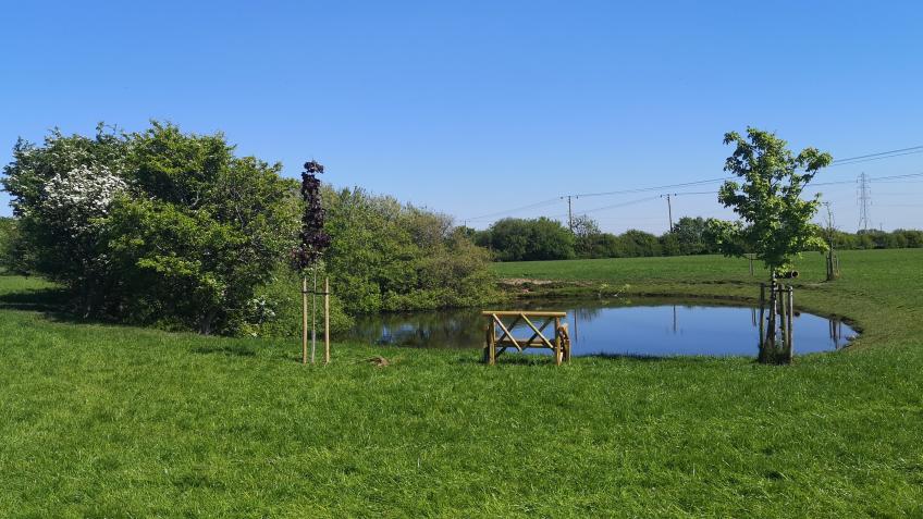 Wrea Green Remembrance Wood