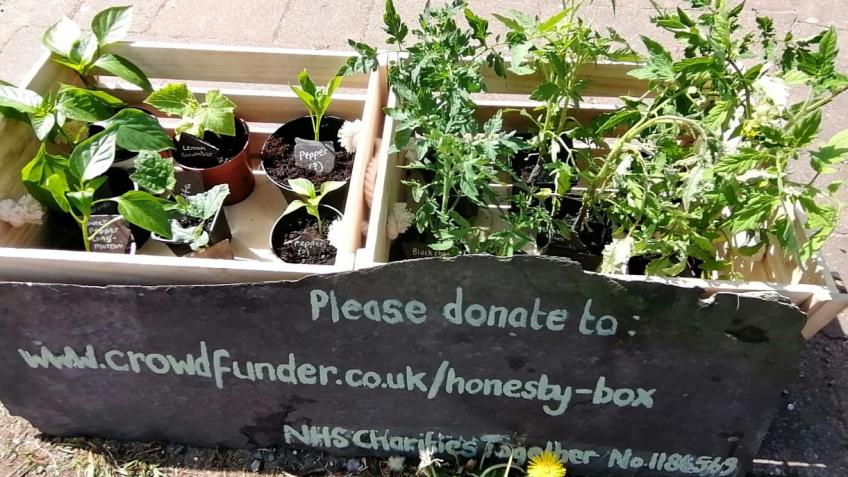 Honesty box for plants and produce