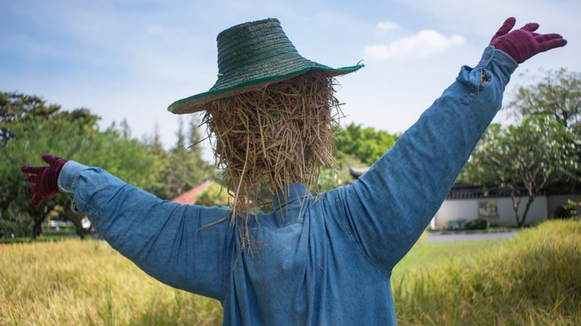 Nailsea’s lockdown scarecrows!!